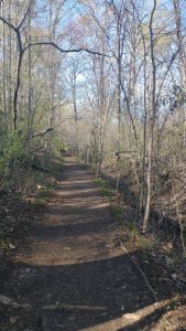 walking path South Carolina Parks